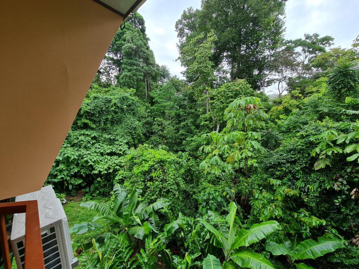 Ceiba Lodge Драке Экстерьер фото