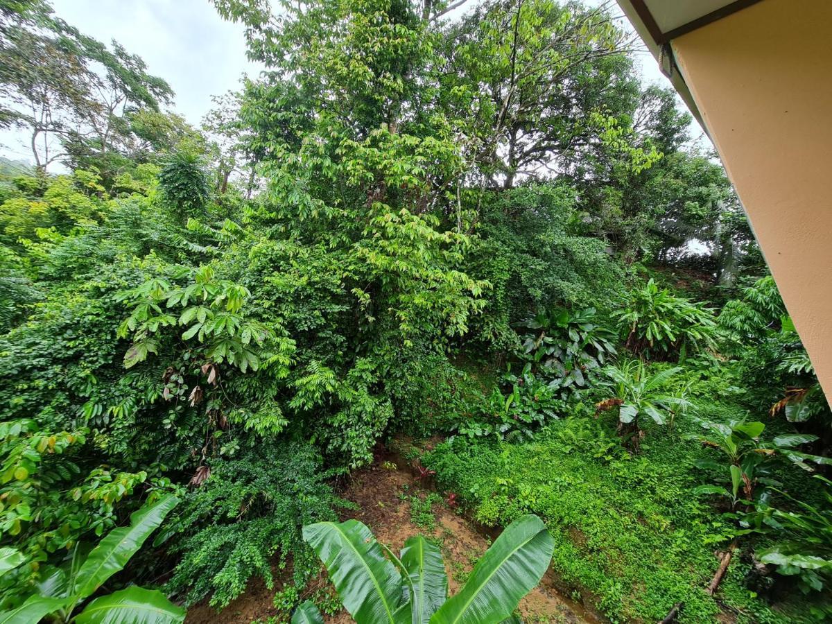 Ceiba Lodge Драке Экстерьер фото